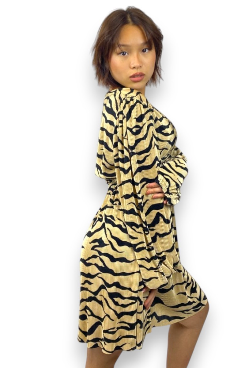 Robe zèbre dorée Zara, TM