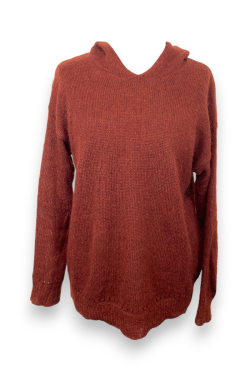 Pull à capuche Hartford, T2