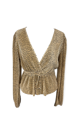 Blouse Zara dorée, TM