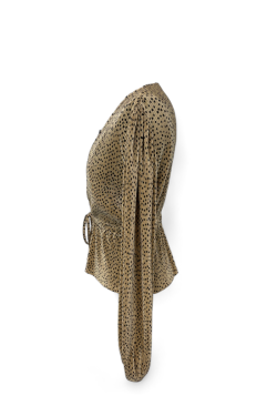 Blouse Zara dorée, TM