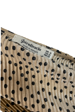 Blouse Zara dorée, TM