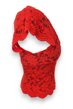 Top transparent à dentelles Zara, TS